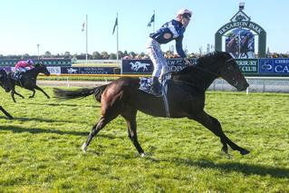 Beyond The Fort (NZ) (Niagara) claims the Listed New Zealand Bloodstock Warstep Stakes. Photo: Race Images South